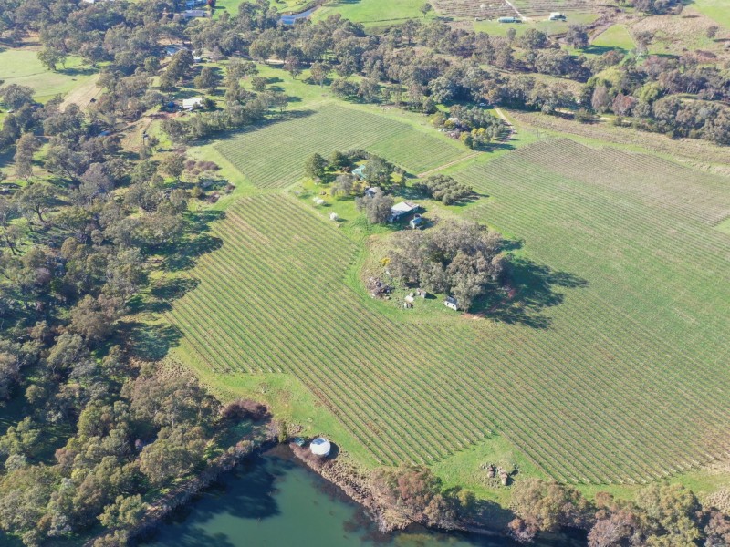 99 Noonans Road, Young NSW 2594