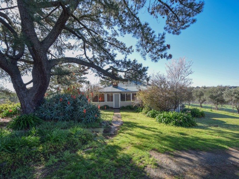 99 Noonans Road, Young NSW 2594