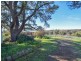 99 Noonans Road, Young NSW 2594