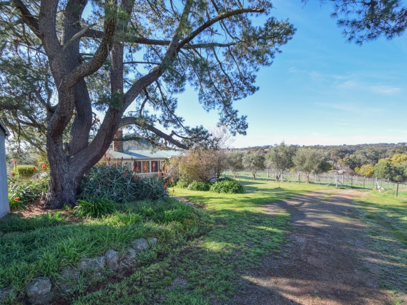 99 Noonans Road, Young NSW 2594