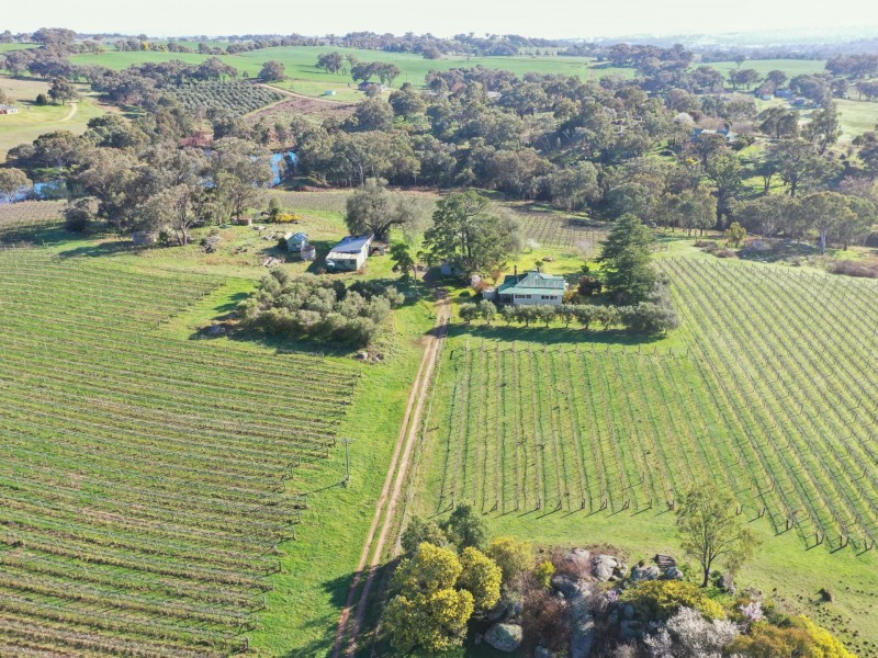 99 Noonans Road, Young NSW 2594