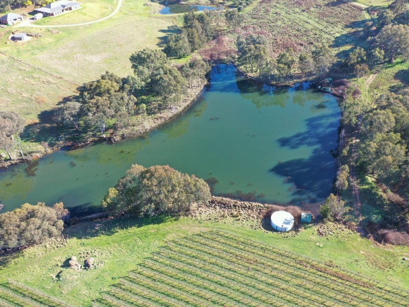 99 Noonans Road, Young NSW 2594