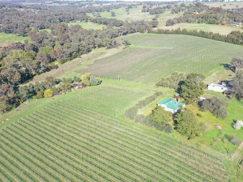 99 Noonans Road, Young NSW 2594