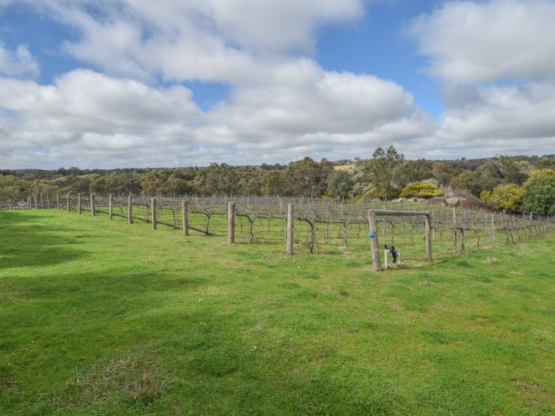 99 Noonans Road, Young NSW 2594