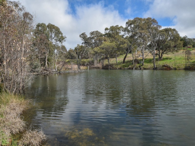 99 Noonans Road, Young NSW 2594