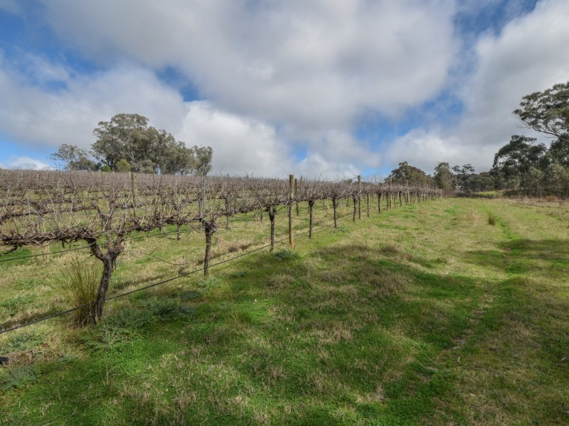 99 Noonans Road, Young NSW 2594