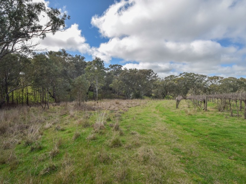 99 Noonans Road, Young NSW 2594