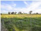 40 Koorawatha Road, Greenethorpe NSW 2809