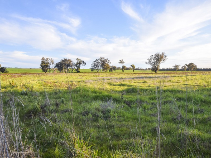 40 Koorawatha Road, Greenethorpe NSW 2809