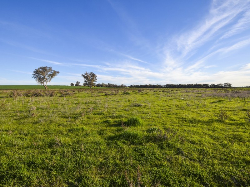 40 Koorawatha Road, Greenethorpe NSW 2809