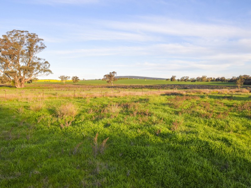 40 Koorawatha Road, Greenethorpe NSW 2809