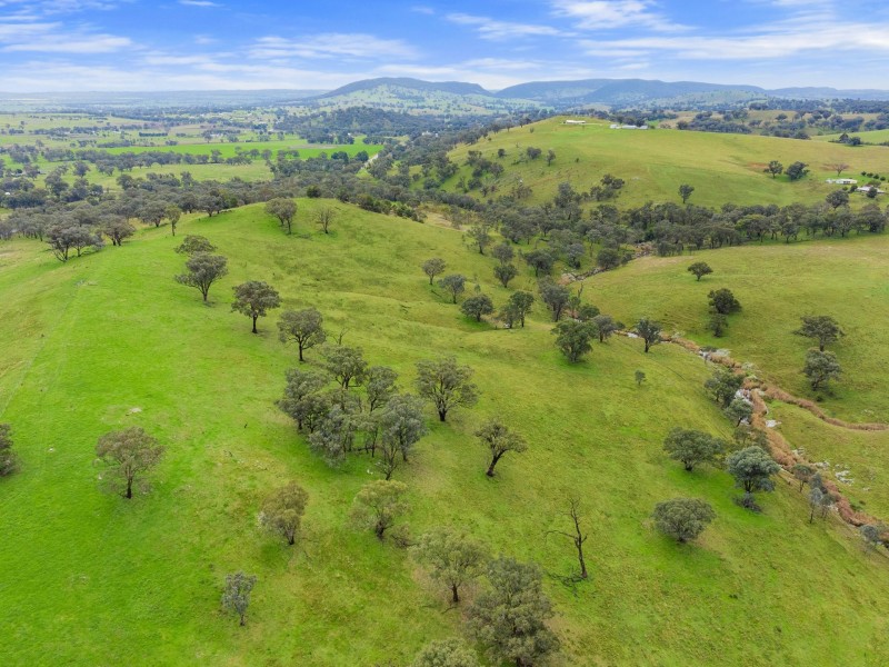 1934 Murringo Road Murringo via, Young NSW 2594