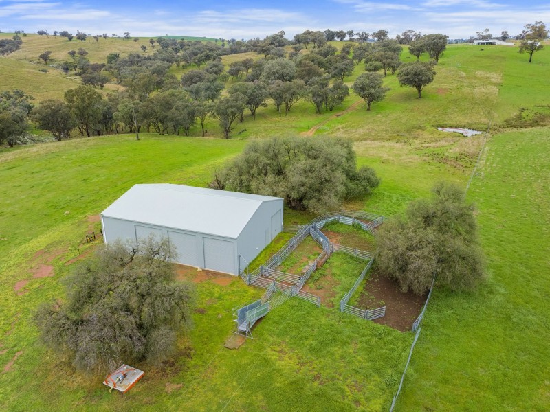 1934 Murringo Road Murringo via, Young NSW 2594