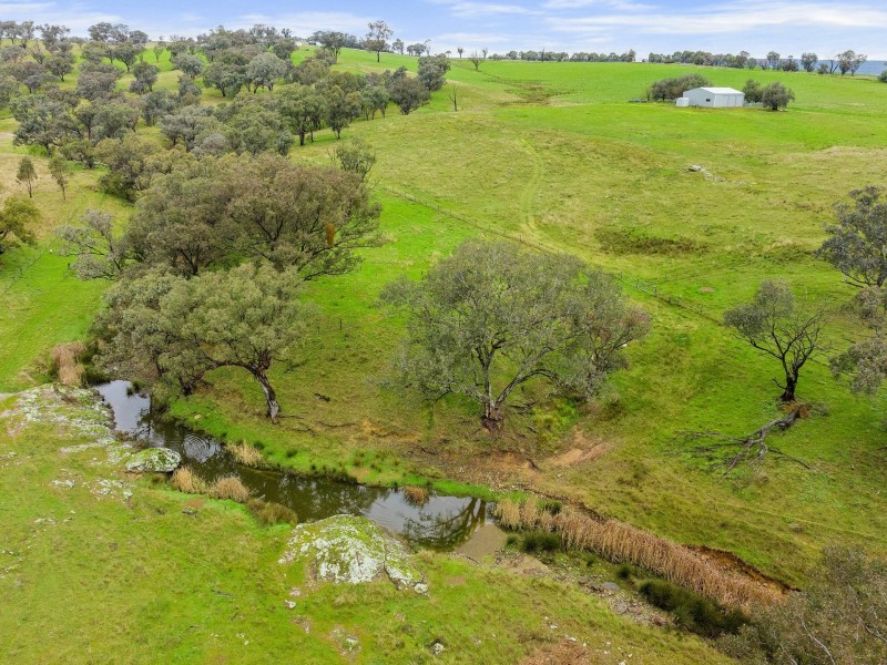 1934 Murringo Road Murringo via, Young NSW 2594