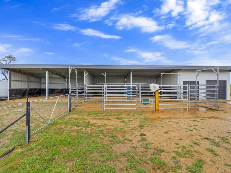 1934 Murringo Road Murringo via, Young NSW 2594