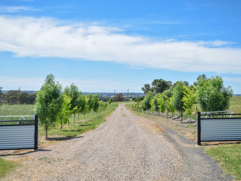 415 Maimuru SS Road Maimuru, Young NSW 2594