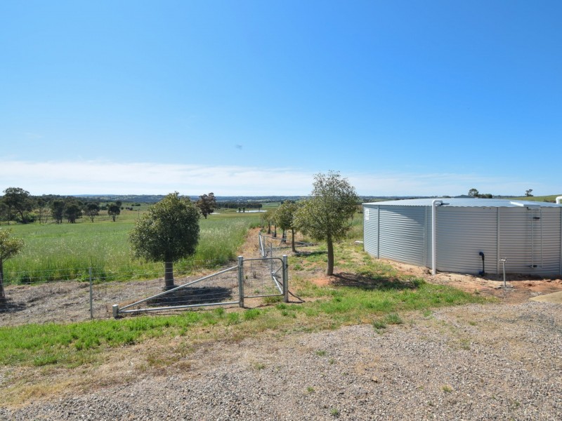 415 Maimuru SS Road Maimuru, Young NSW 2594