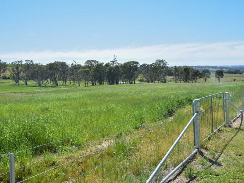 415 Maimuru SS Road Maimuru, Young NSW 2594