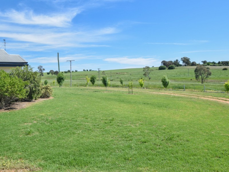 415 Maimuru SS Road Maimuru, Young NSW 2594