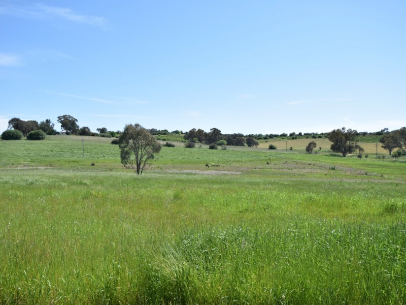 415 Maimuru SS Road Maimuru, Young NSW 2594