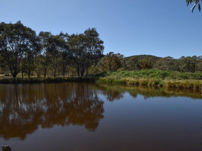 3514 Olympic Highway, Bethungra NSW 2590
