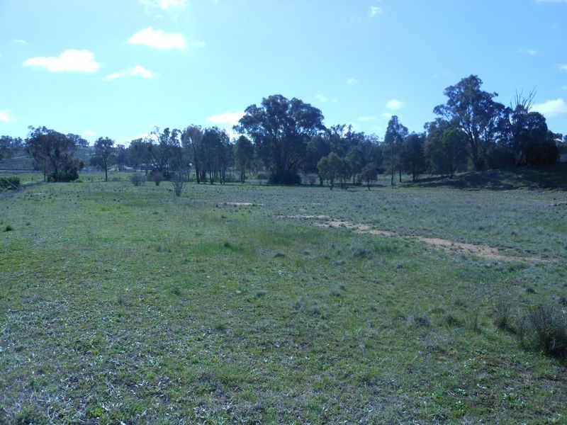 2 Rockdale Rd, Young NSW 2594