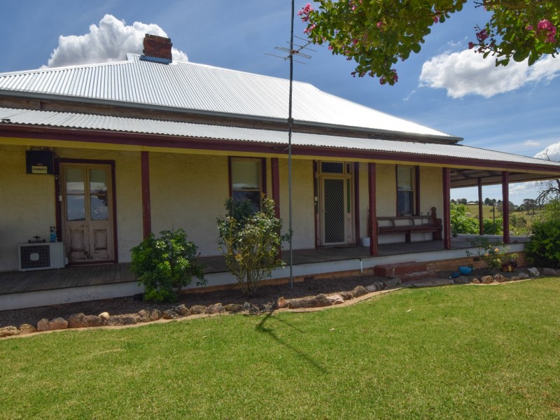 373 Milvale Road, Young NSW 2594