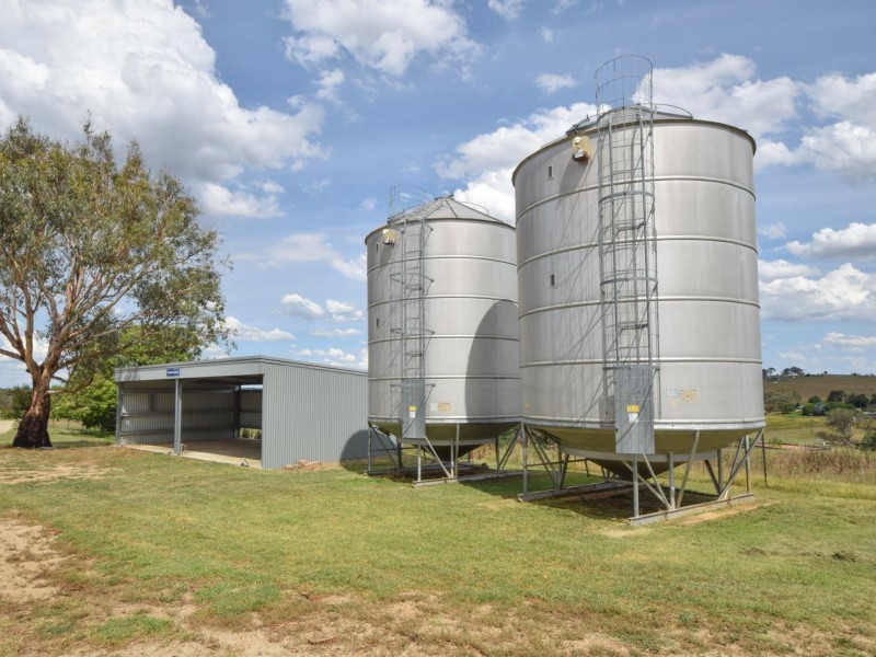 373 Milvale Road, Young NSW 2594