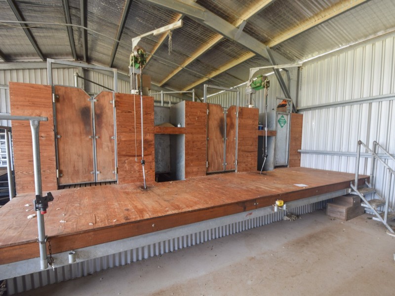 373 Milvale Road, Young NSW 2594