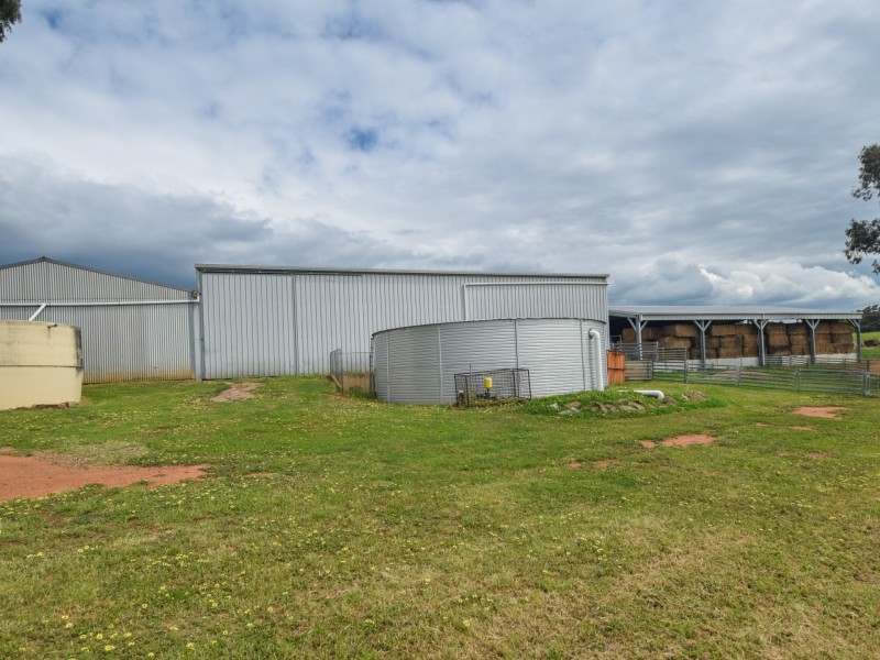 373 Milvale Road, Young NSW 2594