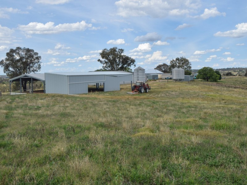 373 Milvale Road, Young NSW 2594