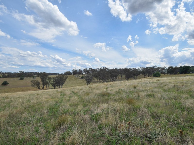 373 Milvale Road, Young NSW 2594