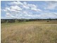 373 Milvale Road, Young NSW 2594