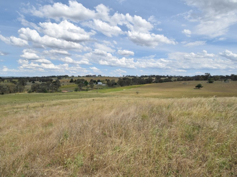 373 Milvale Road, Young NSW 2594