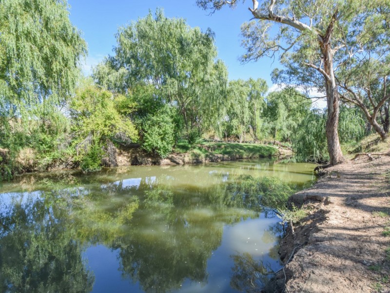 1089 Henry Lawson Way, Young NSW 2594