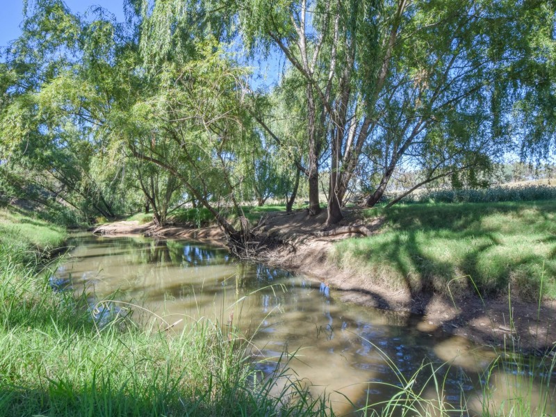 1089 Henry Lawson Way, Young NSW 2594