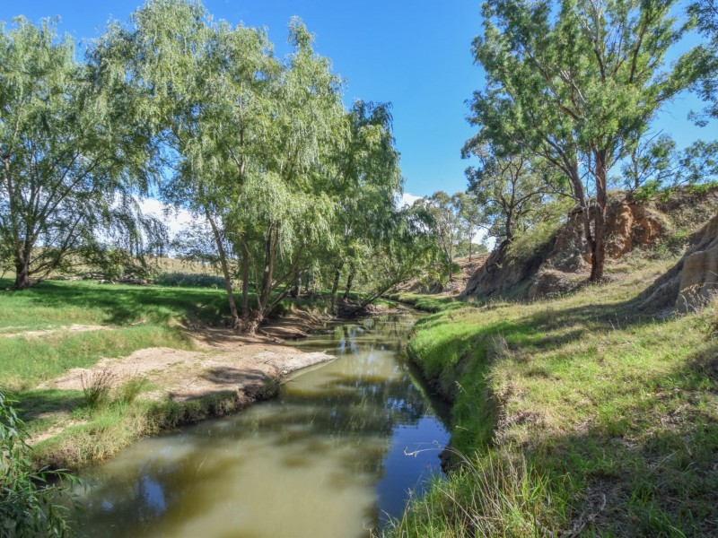 1089 Henry Lawson Way, Young NSW 2594