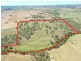 1089 Henry Lawson Way, Young NSW 2594