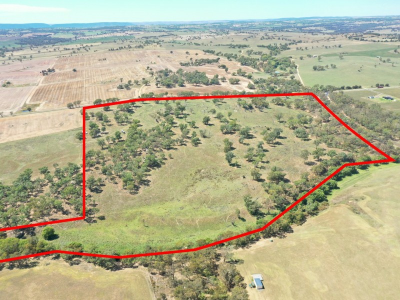 1089 Henry Lawson Way, Young NSW 2594