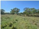 1089 Henry Lawson Way, Young NSW 2594