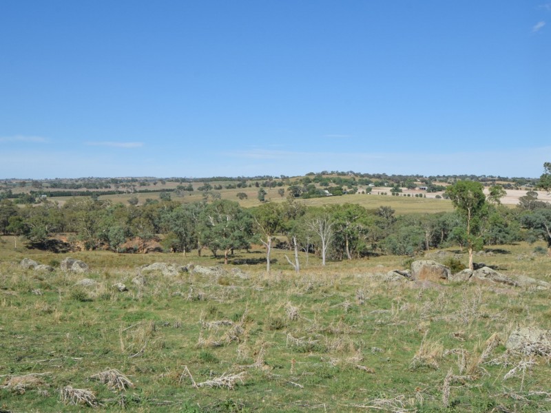 1089 Henry Lawson Way, Young NSW 2594