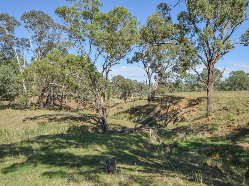 1089 Henry Lawson Way, Young NSW 2594