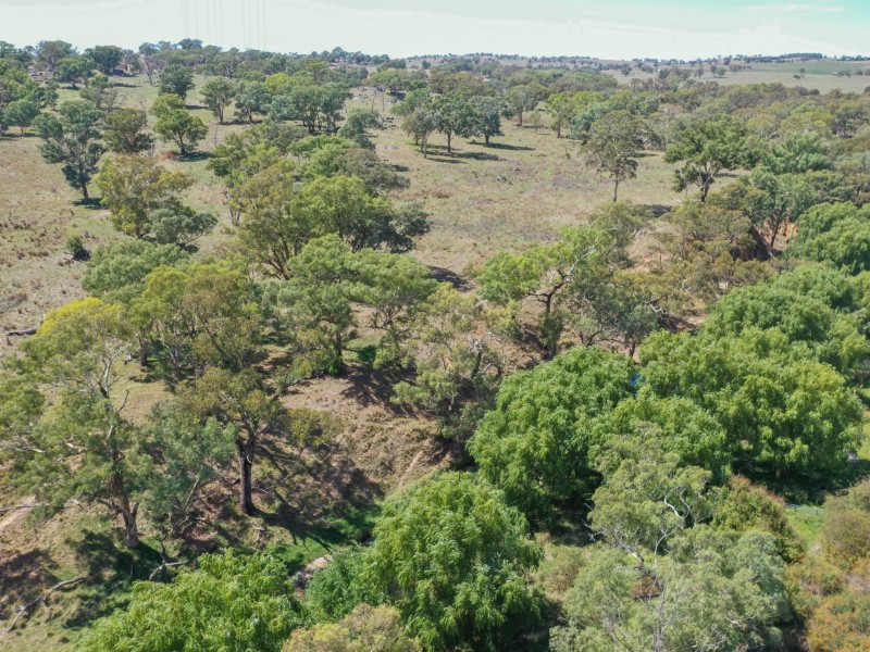 1089 Henry Lawson Way, Young NSW 2594