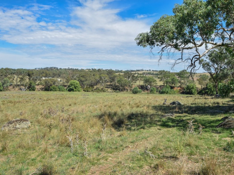 1089 Henry Lawson Way, Young NSW 2594