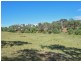 1089 Henry Lawson Way, Young NSW 2594