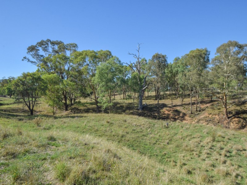 1089 Henry Lawson Way, Young NSW 2594