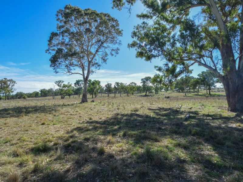 1089 Henry Lawson Way, Young NSW 2594