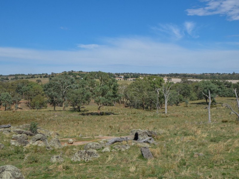 1089 Henry Lawson Way, Young NSW 2594