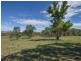 1089 Henry Lawson Way, Young NSW 2594