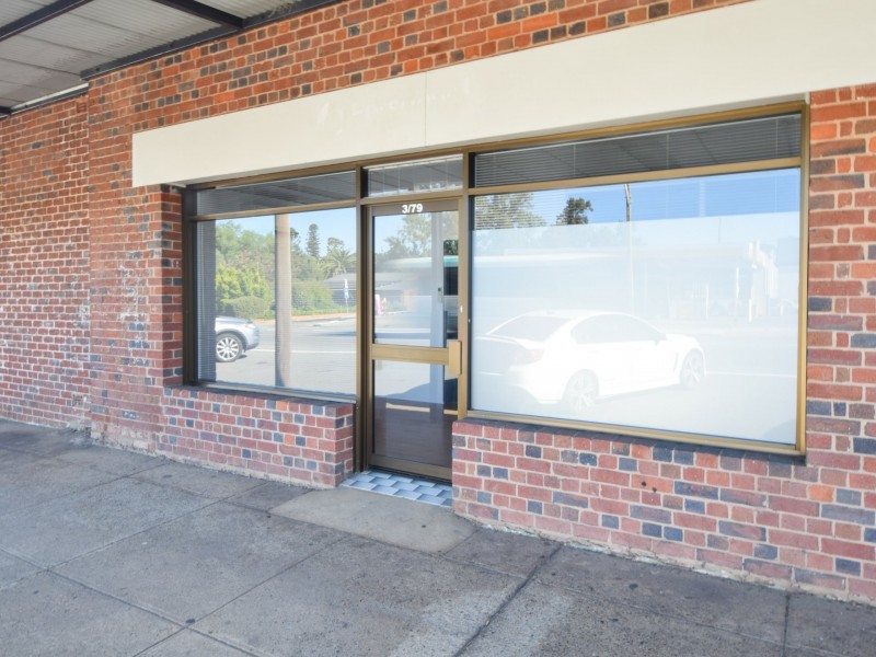 3/79 Main Street, Young NSW 2594